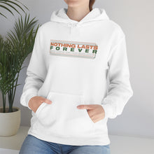 Load image into Gallery viewer, The Nothing Lasts Forever Hoodie
