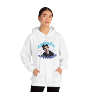 The Andrew Is My BF Hoodie